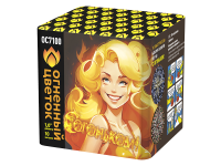 С огоньком! Фейерверк купить в Омске | omsk.salutsklad.ru