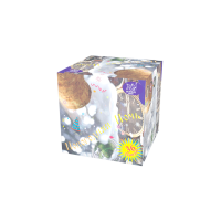 Новогодняя ночь Салют купить в Омске | omsk.salutsklad.ru