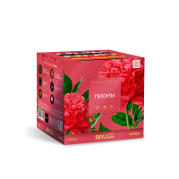 Пионы Салют купить в Омске | omsk.salutsklad.ru