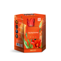 Тюльпаны Салют купить в Омске | omsk.salutsklad.ru