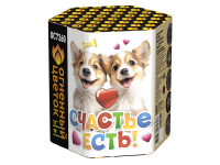 Счастье есть! Салют купить в Омске | omsk.salutsklad.ru