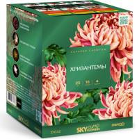 Хризантемы Фейерверк купить в Омске | omsk.salutsklad.ru