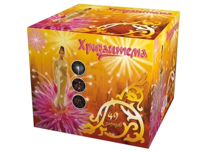 Хризантема Салют купить в Омске | omsk.salutsklad.ru