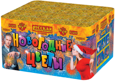 Новогодние цветы Фейерверк купить в Омске | omsk.salutsklad.ru