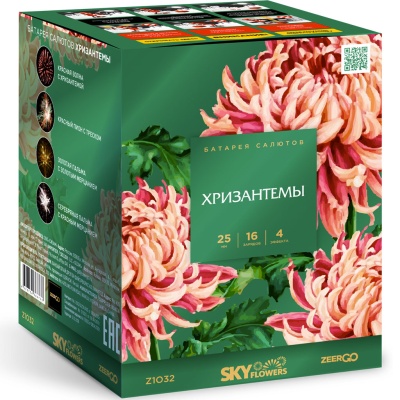 Хризантемы Фейерверк купить в Омске | omsk.salutsklad.ru
