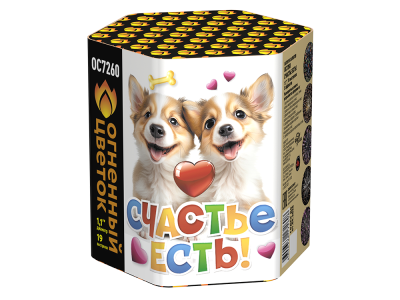 Счастье есть! Салют купить в Омске | omsk.salutsklad.ru